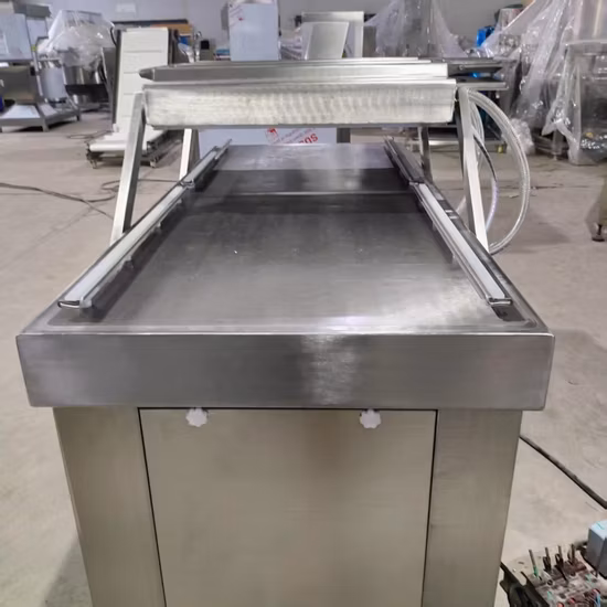 Food Automatic Vacuum Packing Machine (DZ-400)